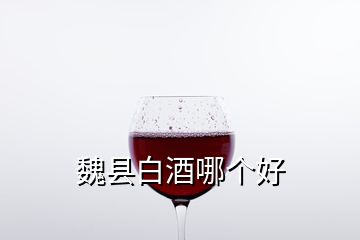 魏縣白酒哪個(gè)好