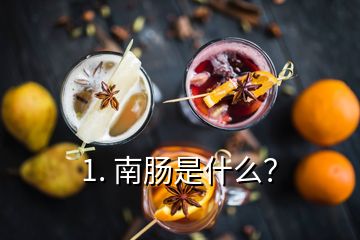 1. 南腸是什么？