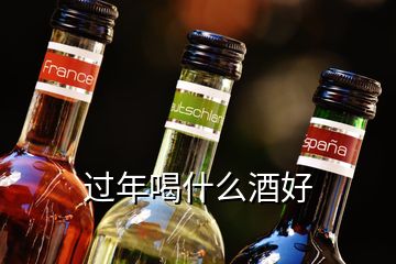 過年喝什么酒好