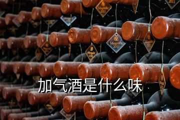 加氣酒是什么味