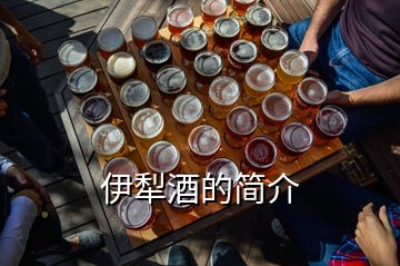 伊犁酒的簡(jiǎn)介