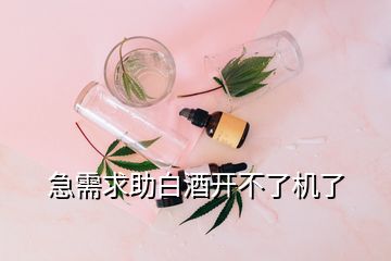 急需求助白酒開(kāi)不了機(jī)了