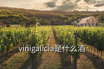 vinigalicia是什么酒