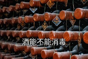 酒能不能消毒