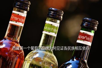 西藏第一個葡萄酒品牌為何見證各民族相互依存