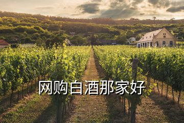 網(wǎng)購白酒那家好