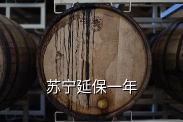 蘇寧延保一年