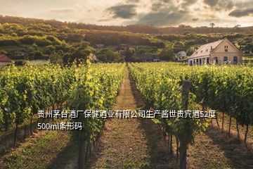 貴州茅臺酒廠保健酒業(yè)有限公司生產(chǎn)醬世貴賓酒52度500ml條形碼