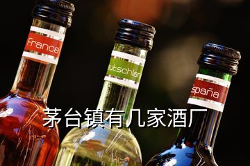 茅臺鎮(zhèn)有幾家酒廠