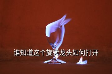 誰(shuí)知道這個(gè)旋轉(zhuǎn)龍頭如何打開