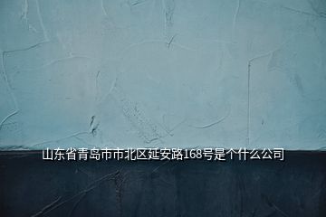 山東省青島市市北區(qū)延安路168號(hào)是個(gè)什么公司