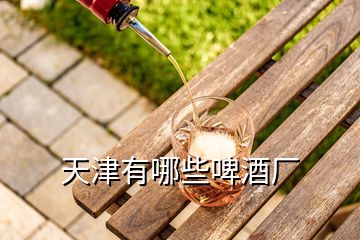 天津有哪些啤酒廠
