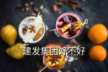 建發(fā)集團(tuán)好不好