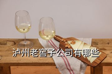 瀘州老窖子公司有哪些