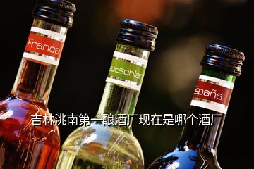 吉林洮南第一釀酒廠現(xiàn)在是哪個酒廠