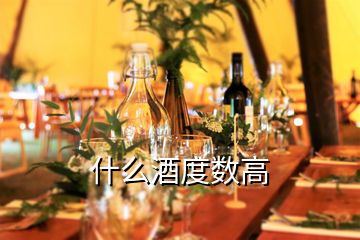 什么酒度數(shù)高