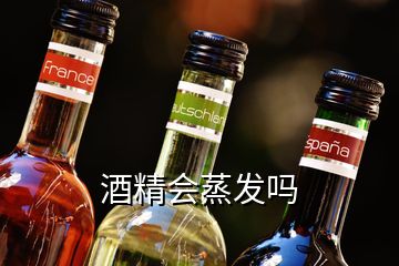 酒精會蒸發(fā)嗎