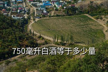 750毫升白酒等于多少量