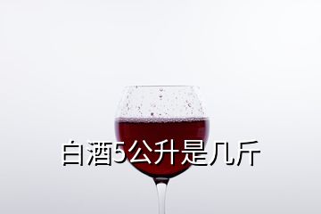 白酒5公升是幾斤