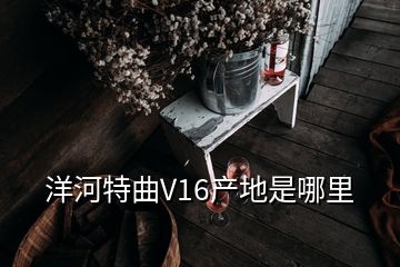 洋河特曲V16產(chǎn)地是哪里