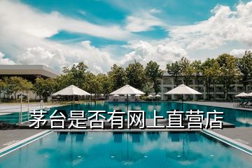 茅臺是否有網上直營店