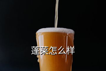 蓬萊怎么樣