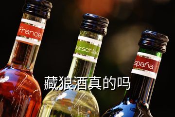 藏狼酒真的嗎