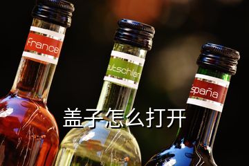 蓋子怎么打開