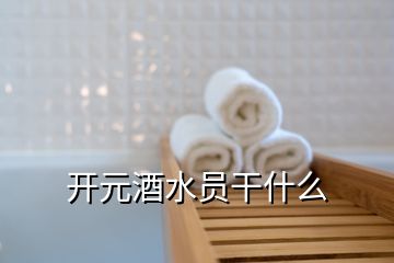 開元酒水員干什么