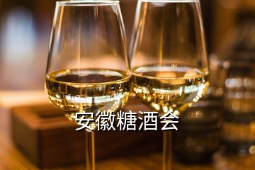 安徽糖酒會