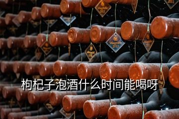 枸杞子泡酒什么時(shí)間能喝呀