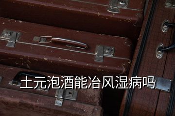 土元泡酒能冶風濕病嗎