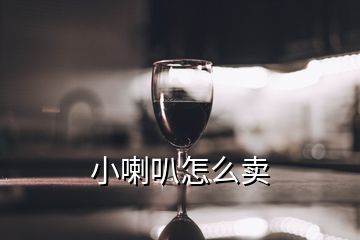 小喇叭怎么賣(mài)