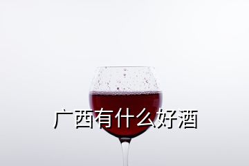 廣西有什么好酒