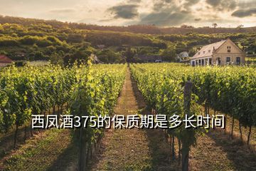 西鳳酒375的保質(zhì)期是多長時間