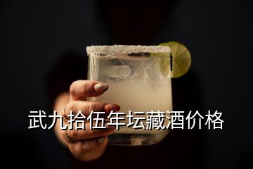 武九拾伍年壇藏酒價格