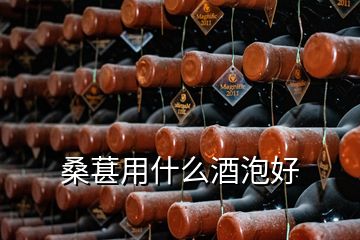 桑葚用什么酒泡好