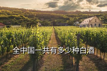 全中國(guó)一共有多少種白酒