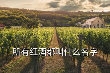 所有紅酒都叫什么名字