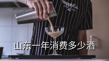 山東一年消費(fèi)多少酒