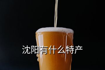 沈陽有什么特產(chǎn)