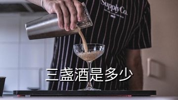 三盞酒是多少