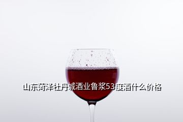 山東菏澤牡丹城酒業(yè)魯漿53度酒什么價格