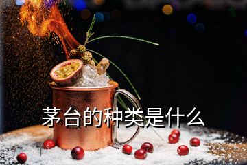 茅臺的種類是什么