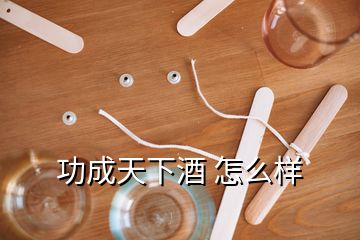 功成天下酒 怎么樣