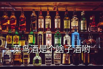 菜鳥酒是個啥子酒喲