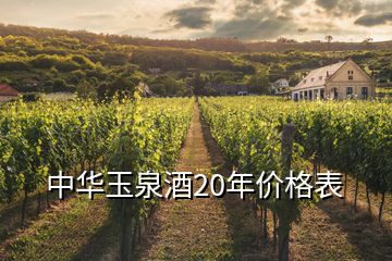 中華玉泉酒20年價格表