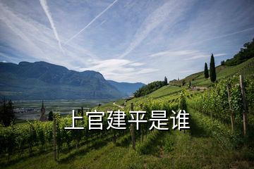上官建平是誰(shuí)