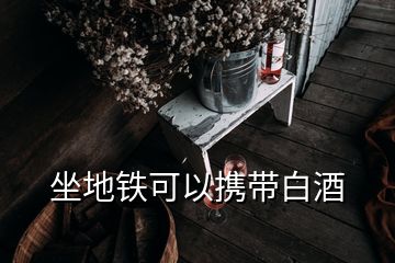 坐地鐵可以攜帶白酒