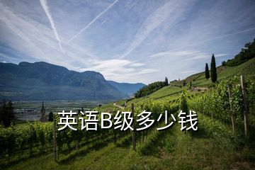 英語(yǔ)B級(jí)多少錢